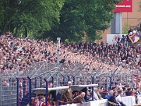 Pauli vs HSV2 05-06 035